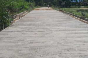 Seminisasi Jalan